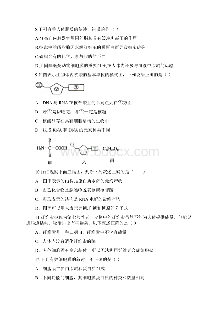 福建省永泰县第一中学学年高一上学期期末考试 生物.docx_第3页