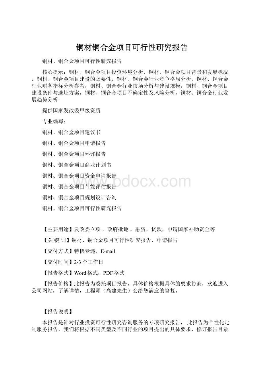 铜材铜合金项目可行性研究报告文档格式.docx