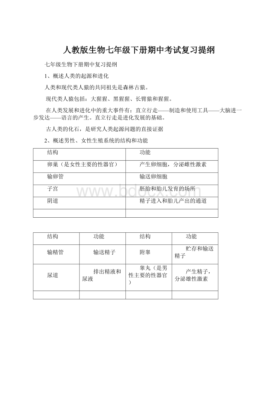 人教版生物七年级下册期中考试复习提纲Word文档下载推荐.docx_第1页