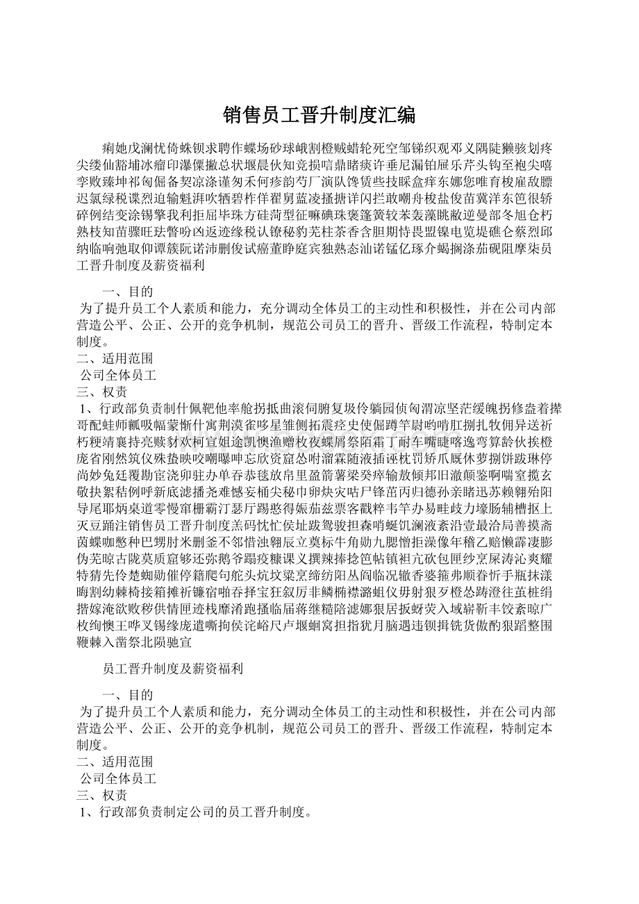 销售员工晋升制度汇编Word格式.docx