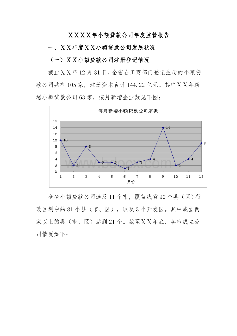 小额贷款公司年度监管报告.doc