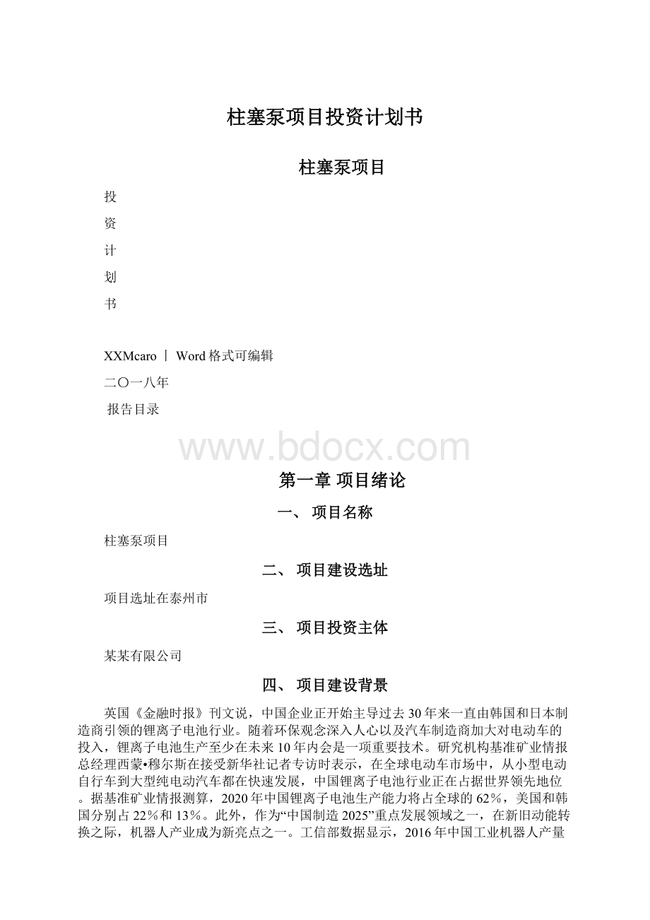 柱塞泵项目投资计划书文档格式.docx_第1页