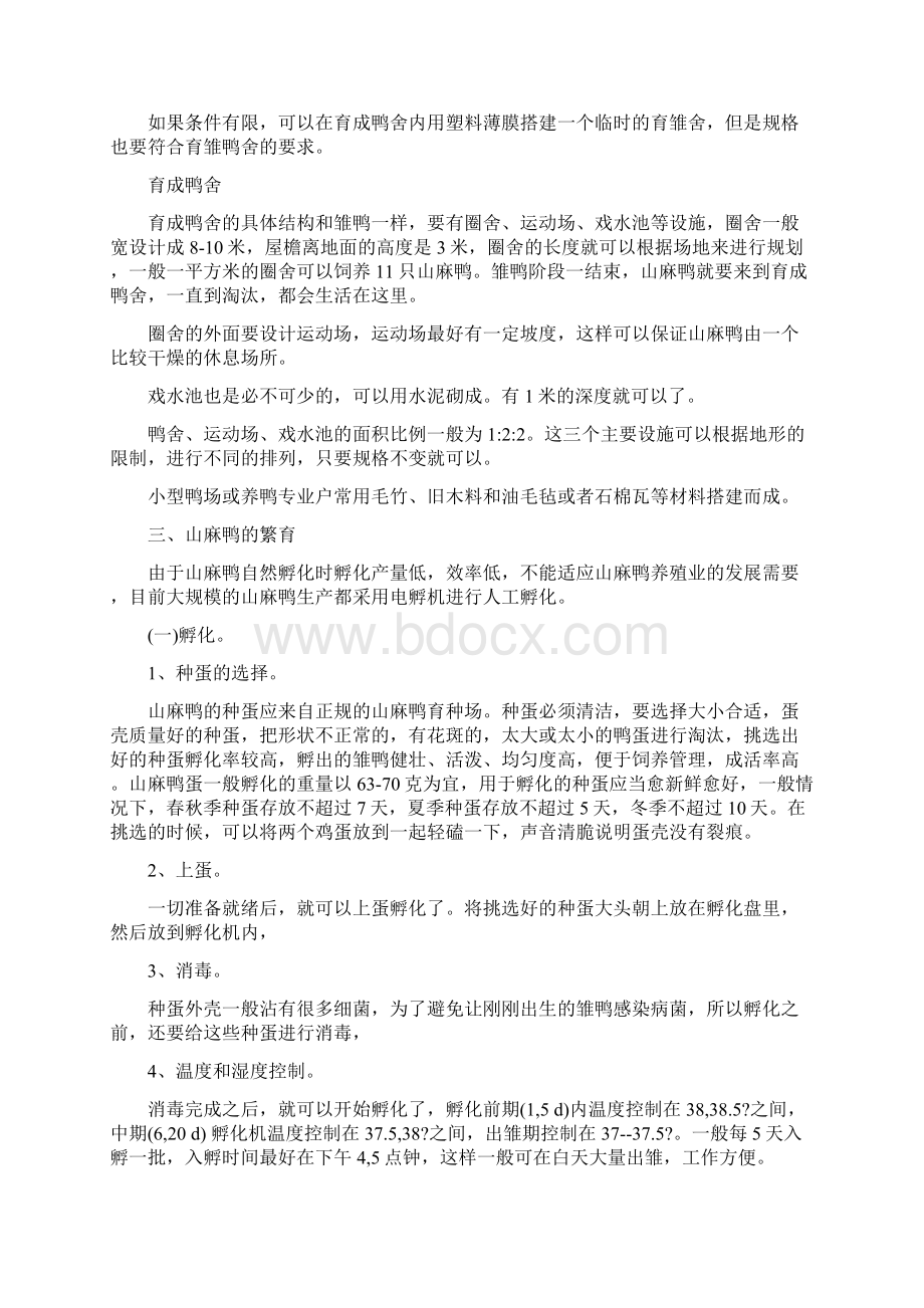 山麻鸭养殖技术Word文档格式.docx_第3页