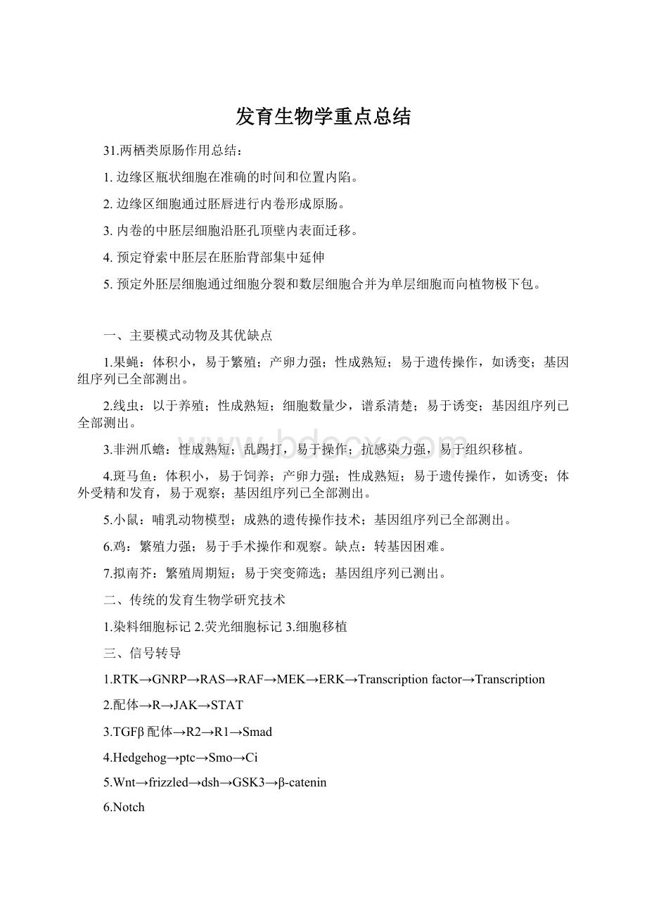 发育生物学重点总结文档格式.docx_第1页