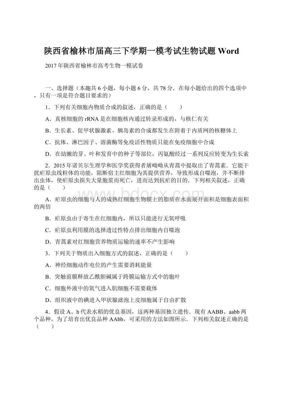 陕西省榆林市届高三下学期一模考试生物试题 WordWord格式.docx_第1页