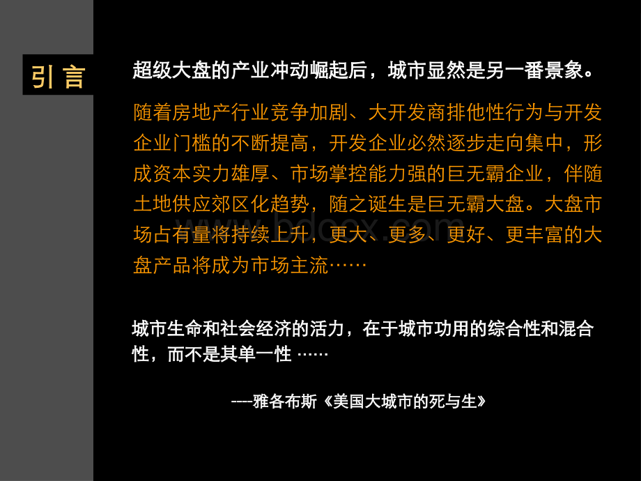 大盘开发模式及策略思考.ppt_第2页