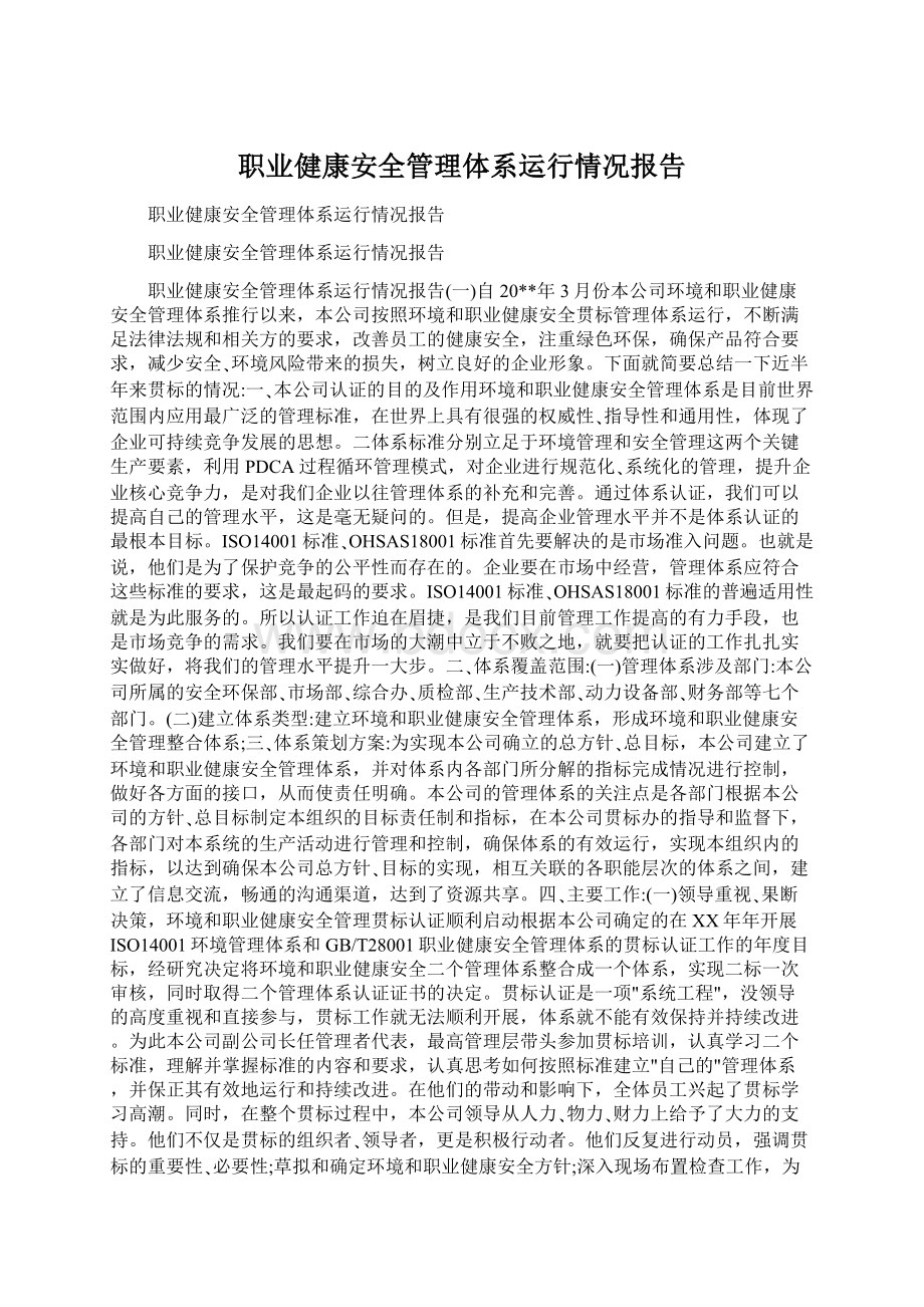 职业健康安全管理体系运行情况报告.docx