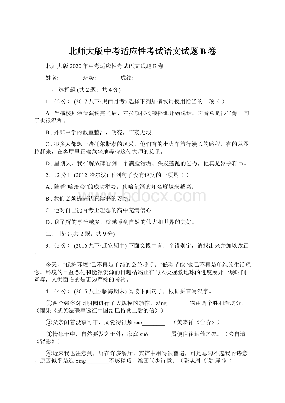 北师大版中考适应性考试语文试题B卷.docx