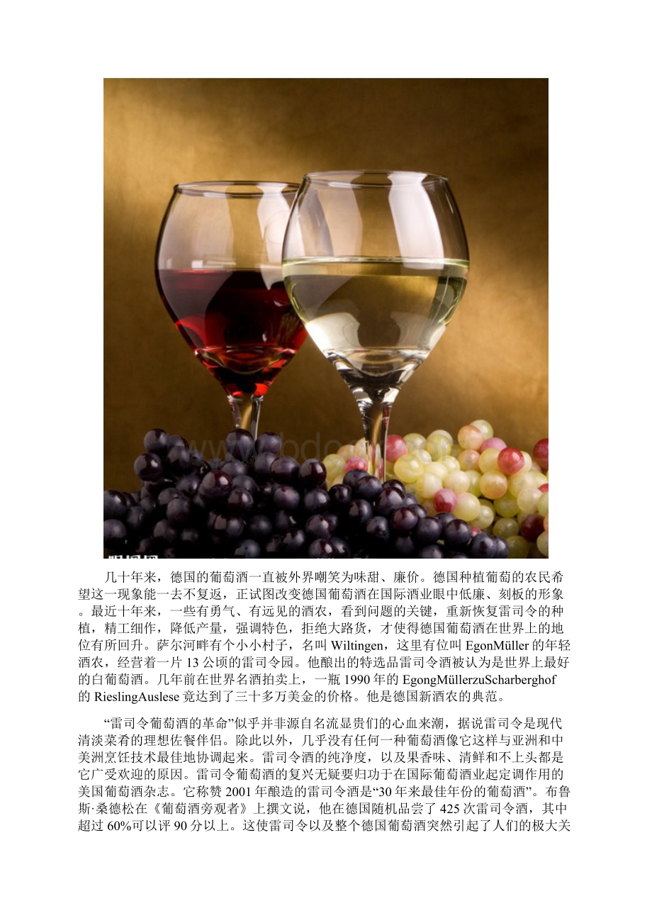 雷司令葡萄酒中国销售市场潜力分析项目商业计划书范文.docx_第2页
