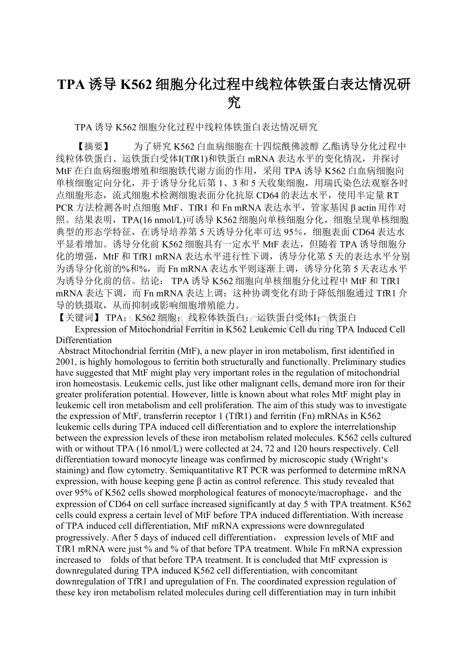 TPA诱导K562细胞分化过程中线粒体铁蛋白表达情况研究Word文档格式.docx_第1页