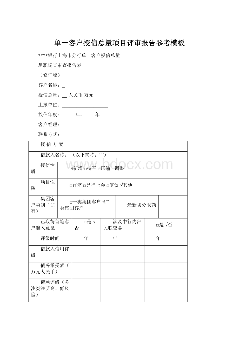 单一客户授信总量项目评审报告参考模板.docx