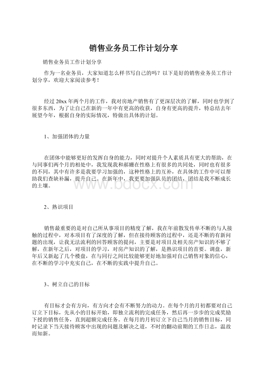 销售业务员工作计划分享Word格式文档下载.docx