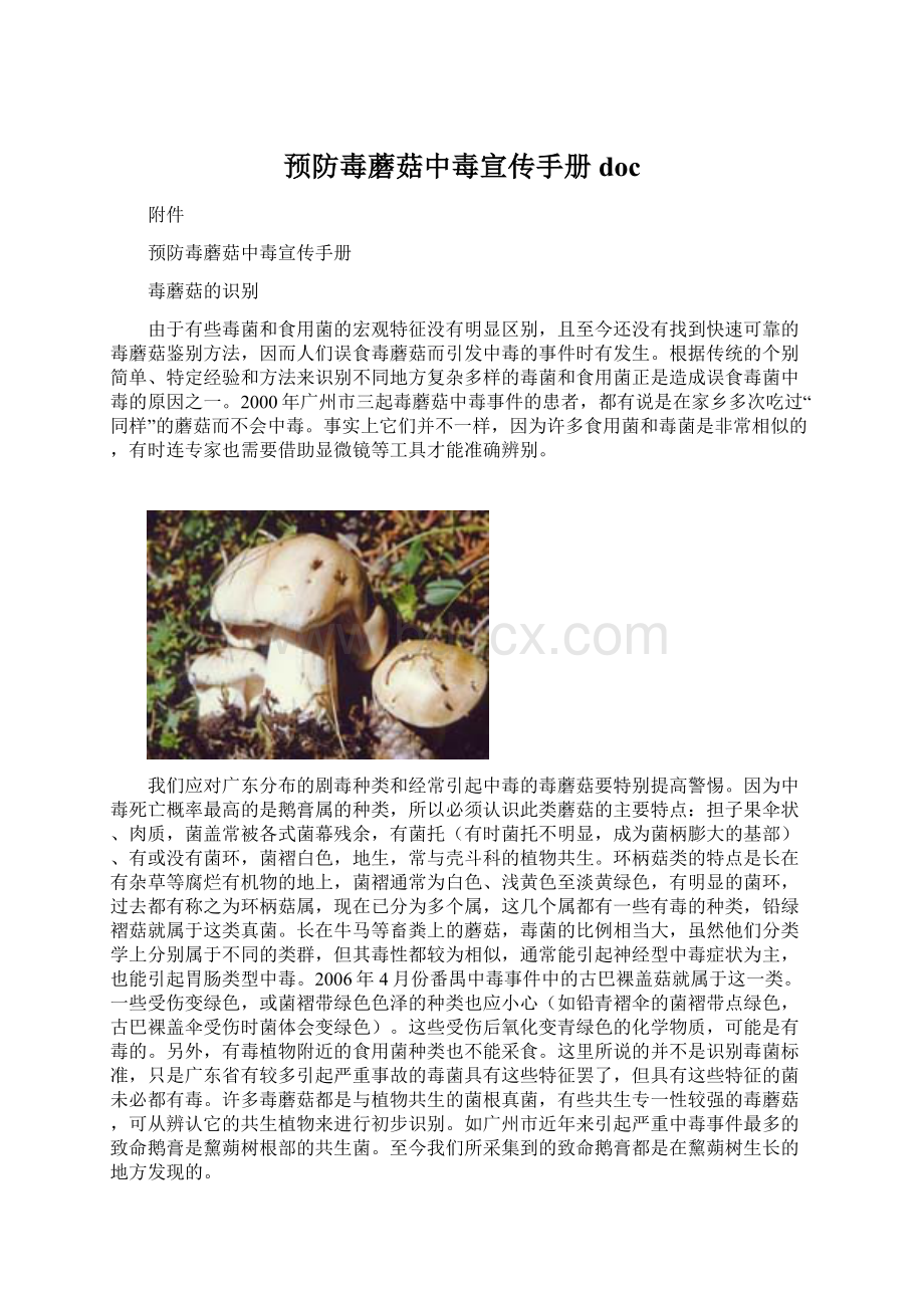 预防毒蘑菇中毒宣传手册docWord文档格式.docx_第1页