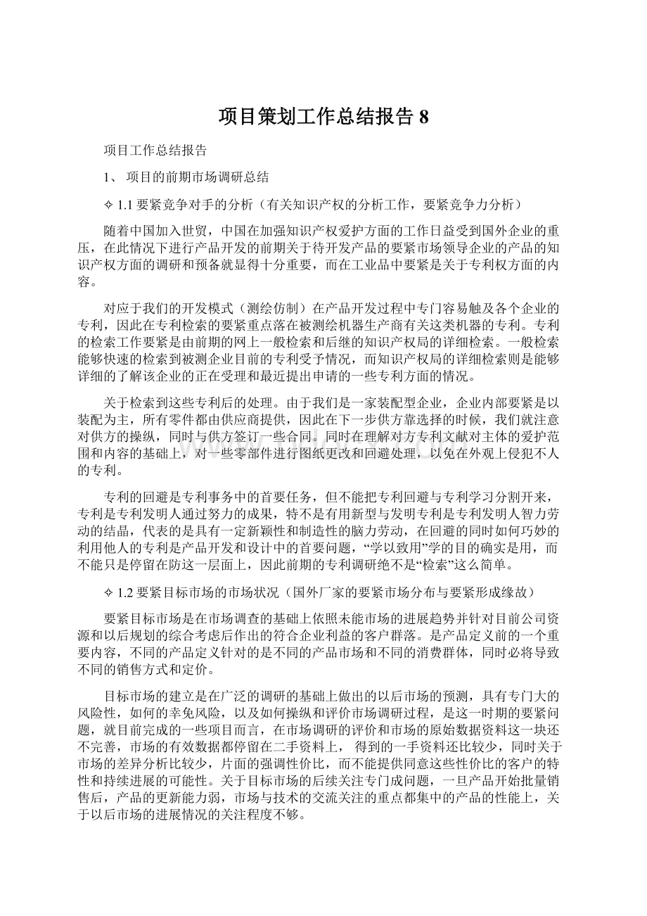 项目策划工作总结报告8.docx