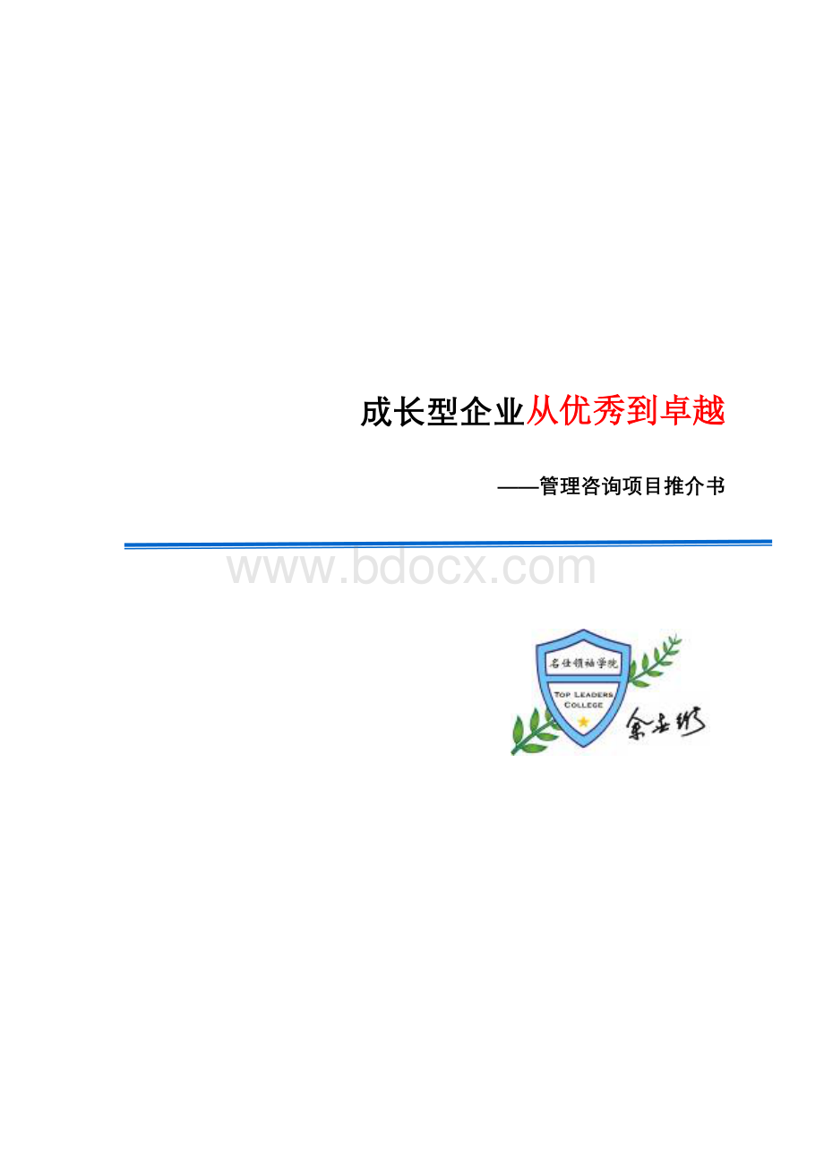 成长型企业从优秀到卓越咨询文档格式.doc_第1页