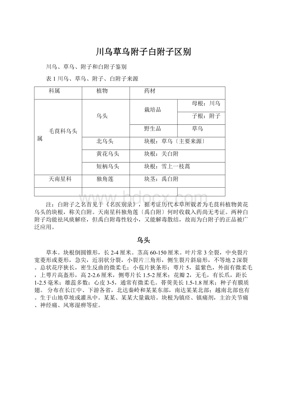 川乌草乌附子白附子区别Word格式文档下载.docx