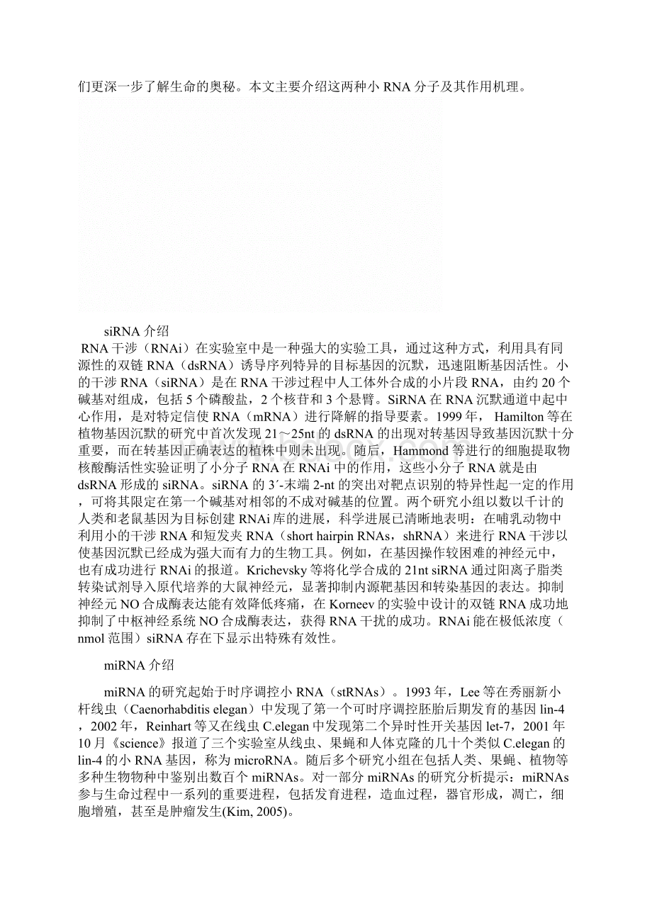 基因组学知识点整理讲解.docx_第2页