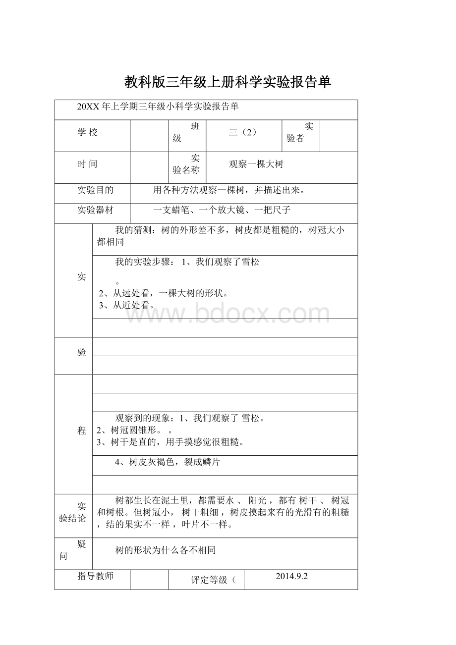 教科版三年级上册科学实验报告单.docx_第1页