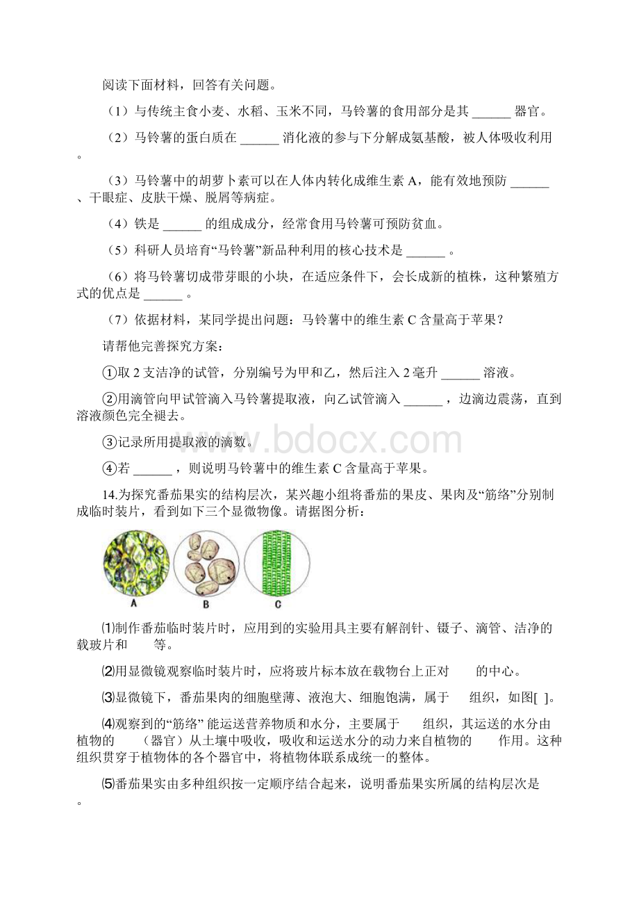 人教版生物七年级上册同步练习223《植物体的结构层次》Word文档格式.docx_第3页