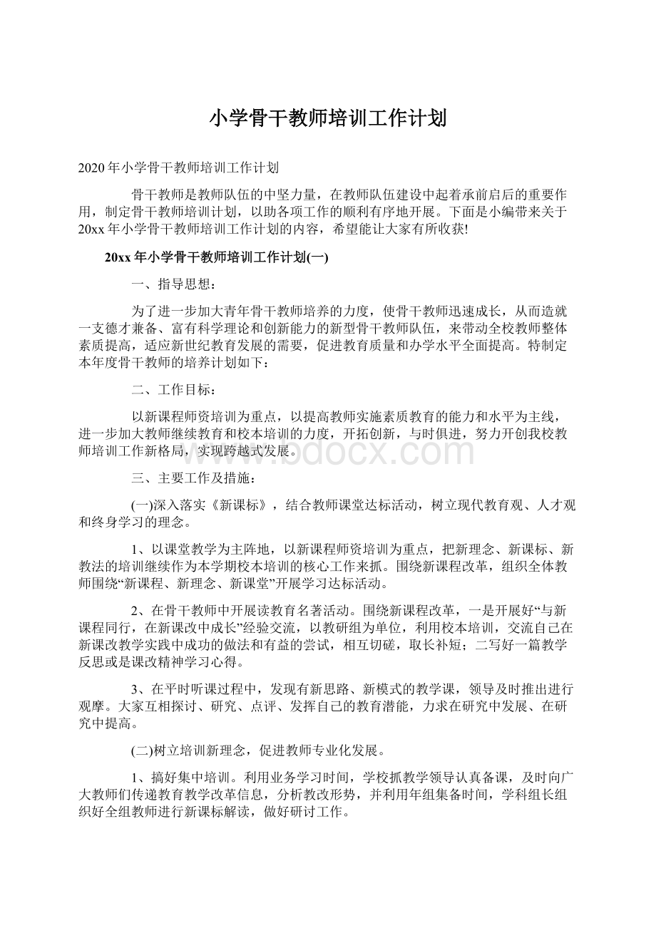 小学骨干教师培训工作计划Word格式文档下载.docx