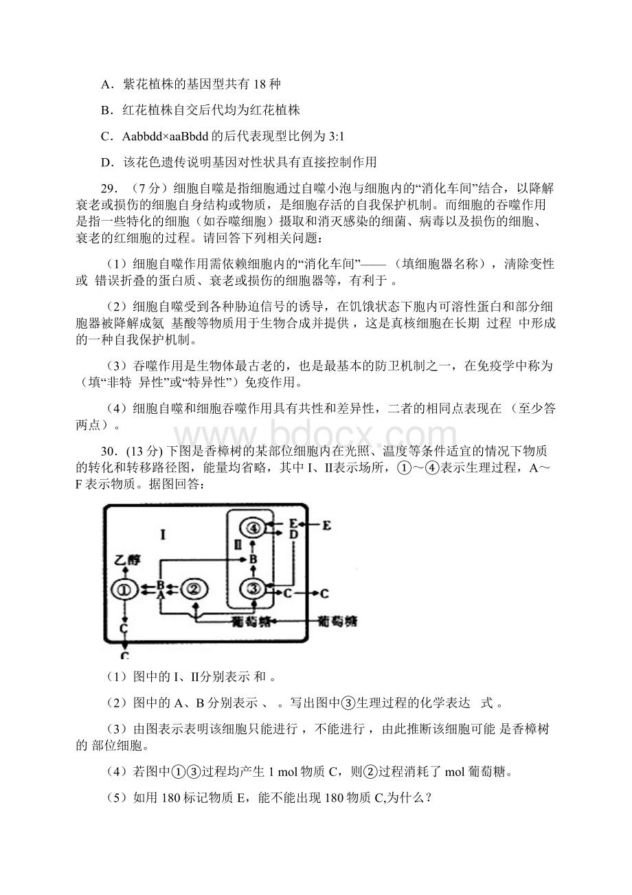 新题速递精校打印word版安徽省六安市舒城中学届高三仿真三生物Word文档格式.docx_第3页