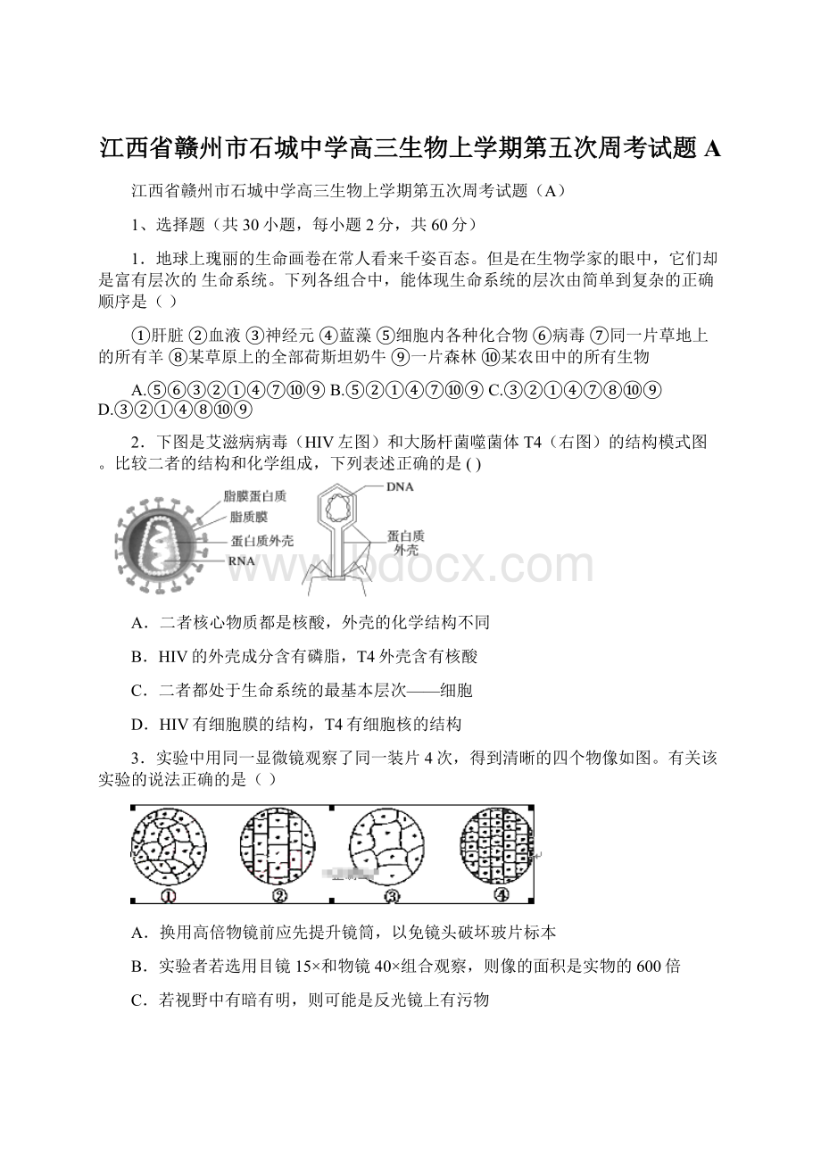 江西省赣州市石城中学高三生物上学期第五次周考试题A文档格式.docx_第1页