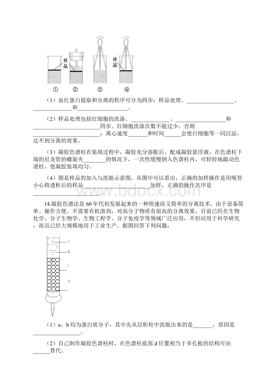 课题3 血红蛋白的提取和分离.docx_第3页