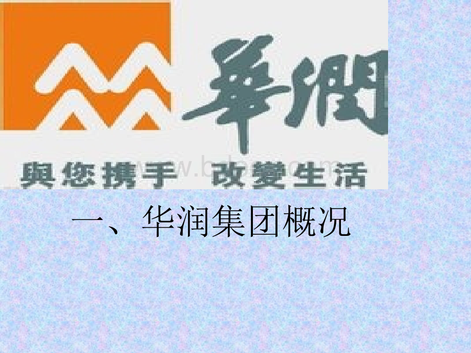 华润集团内部控制.ppt_第2页