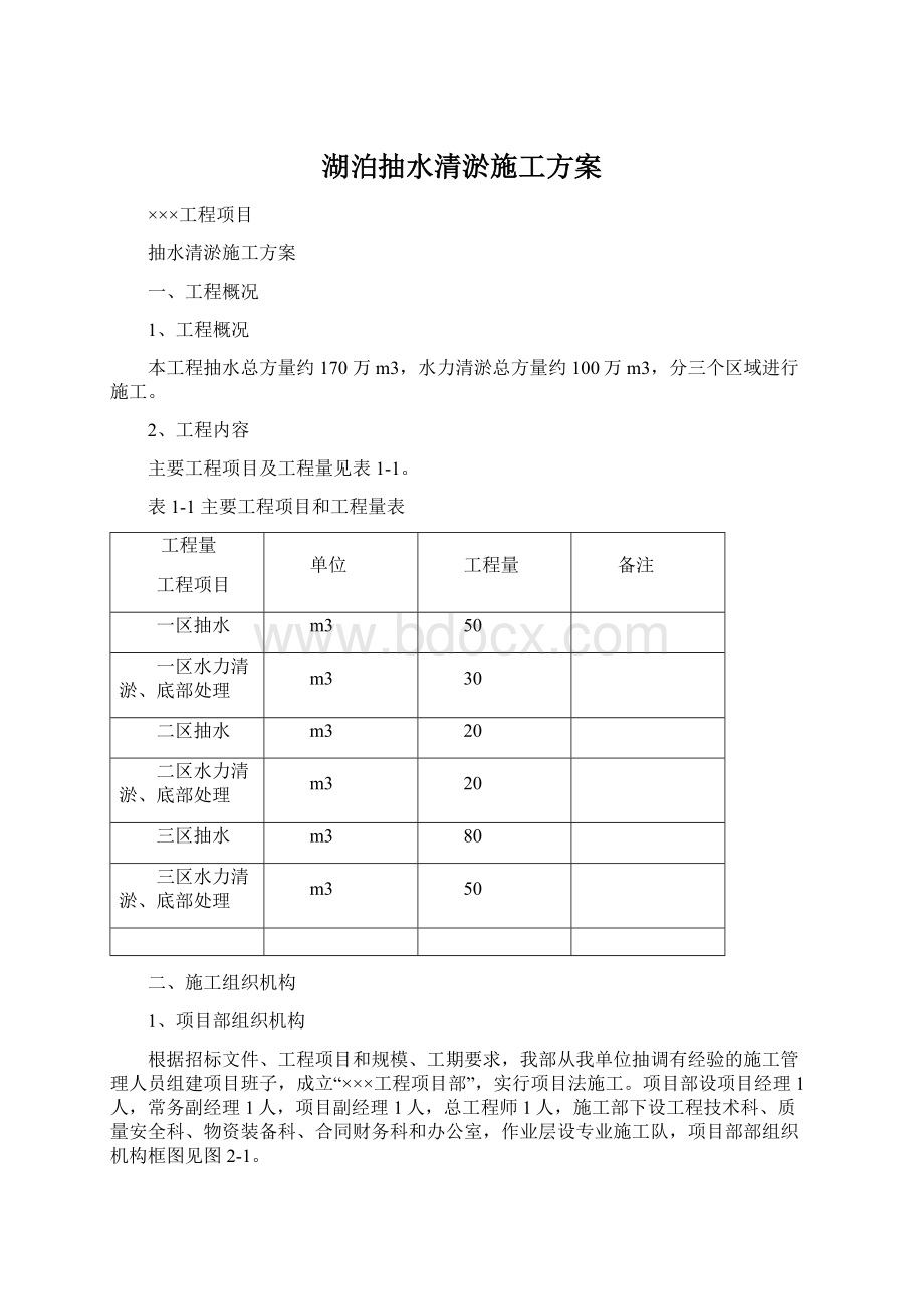 湖泊抽水清淤施工方案.docx