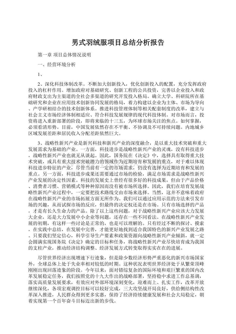 男式羽绒服项目总结分析报告Word格式.docx_第1页