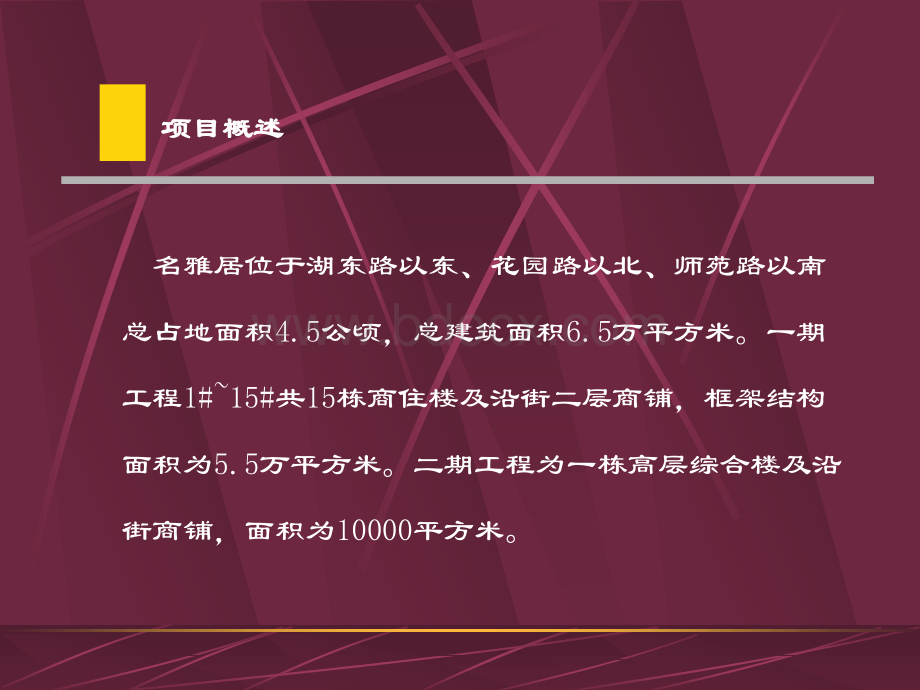 名雅居商业街销售推广策略包装建议.ppt_第3页