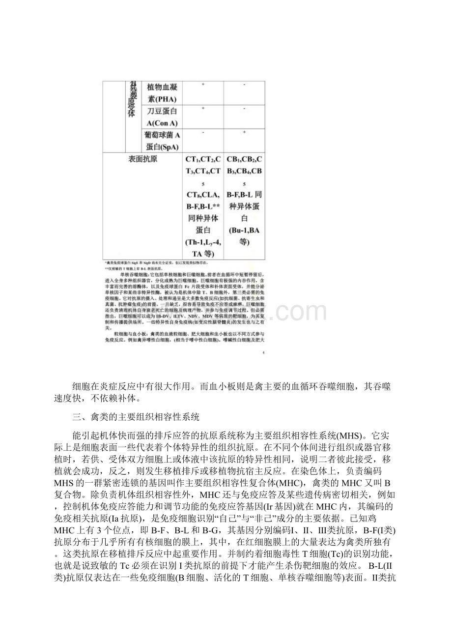 家禽免疫学基础.docx_第3页