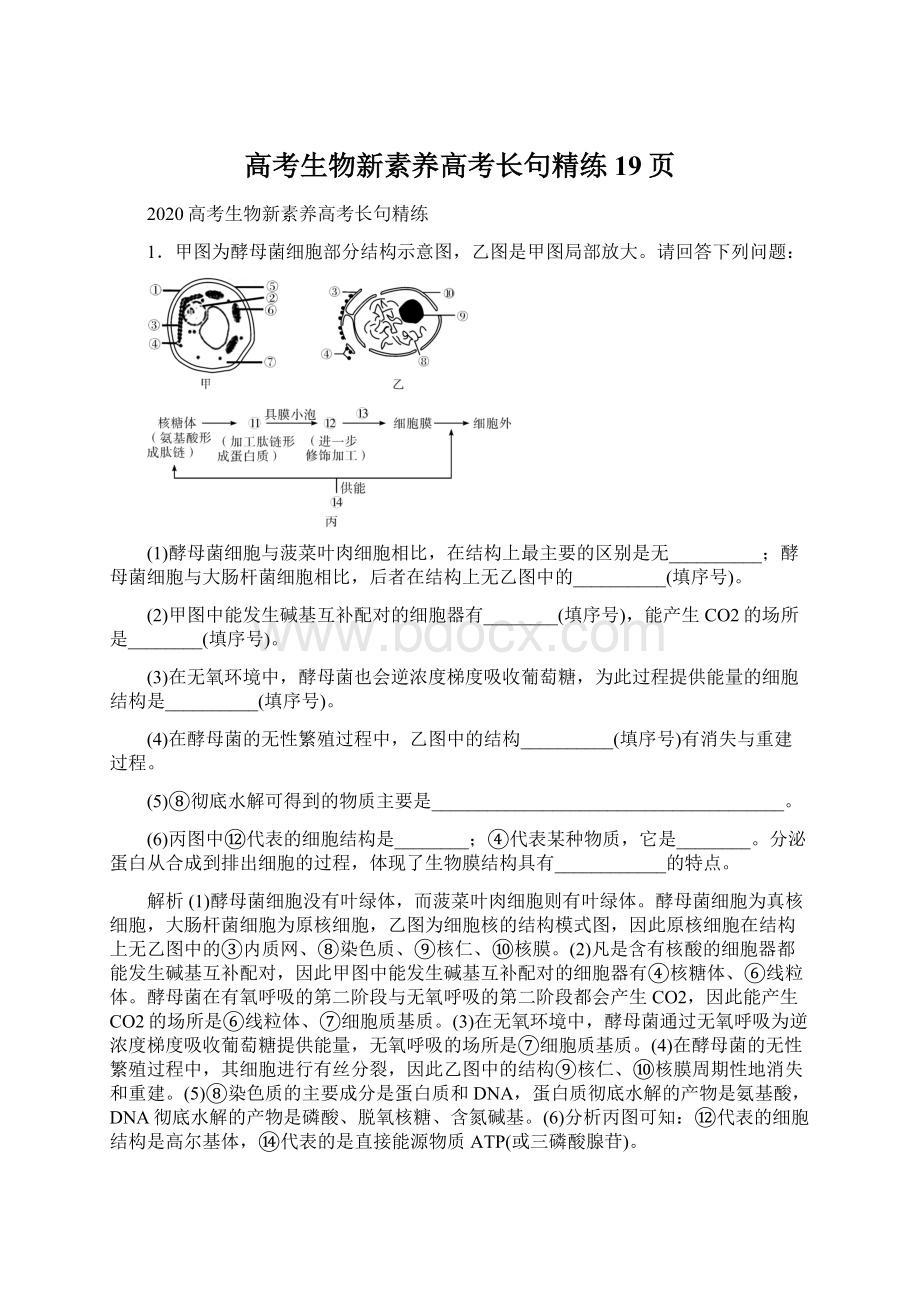 高考生物新素养高考长句精练19页.docx