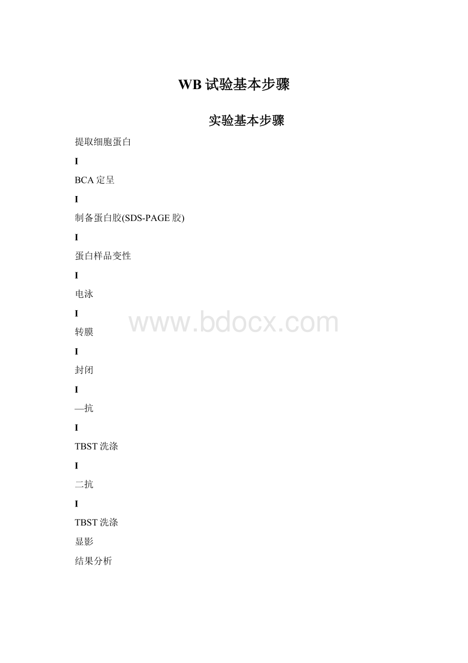 WB试验基本步骤Word文档下载推荐.docx_第1页