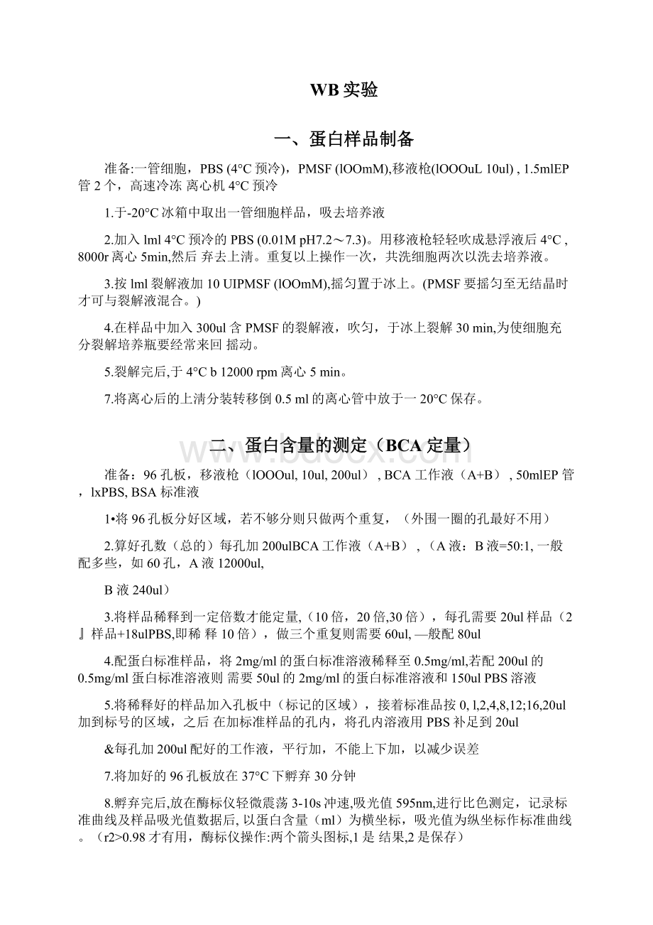 WB试验基本步骤Word文档下载推荐.docx_第3页