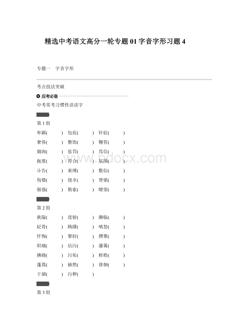 精选中考语文高分一轮专题01字音字形习题4.docx_第1页