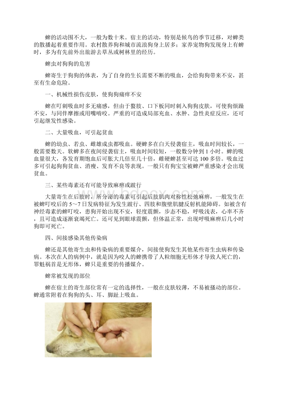 蜱虫生活习性及综合防治Word下载.docx_第3页