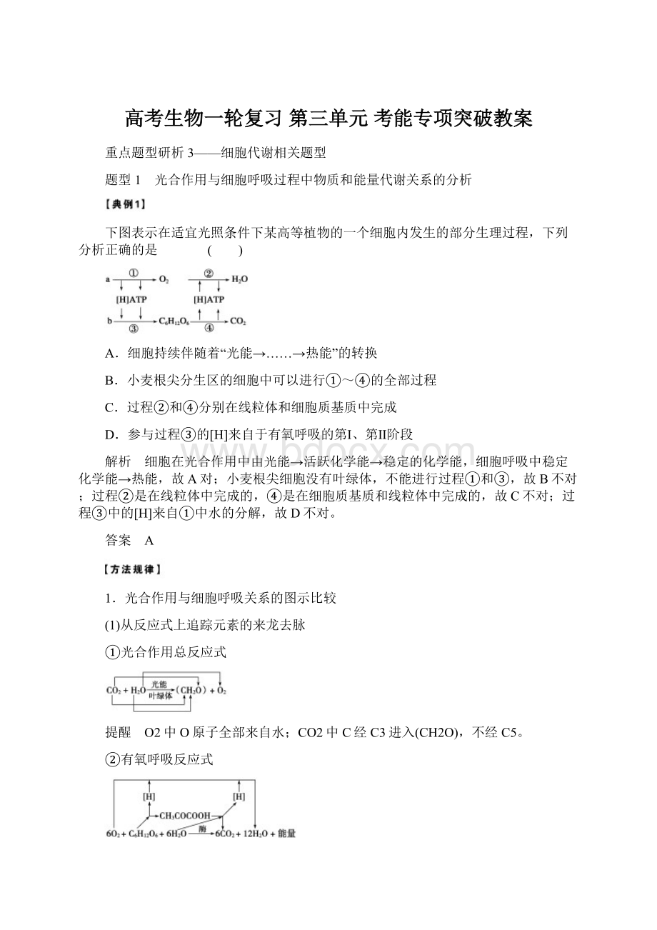 高考生物一轮复习 第三单元 考能专项突破教案.docx_第1页