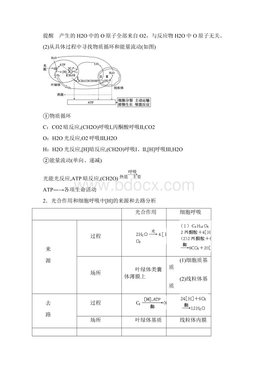 高考生物一轮复习 第三单元 考能专项突破教案.docx_第2页