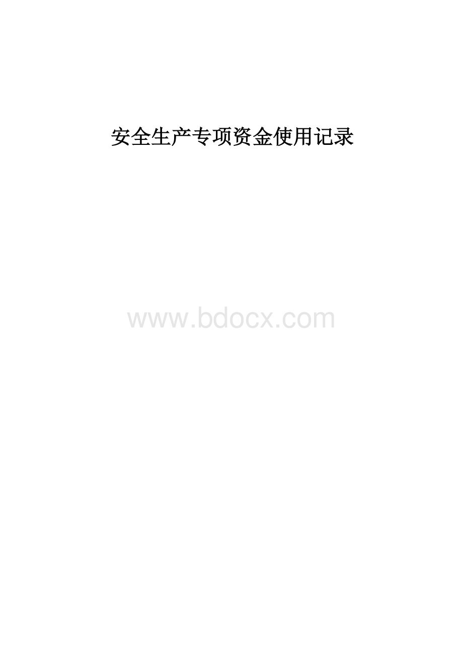 安全生产专项资金使用记录Word格式文档下载.docx