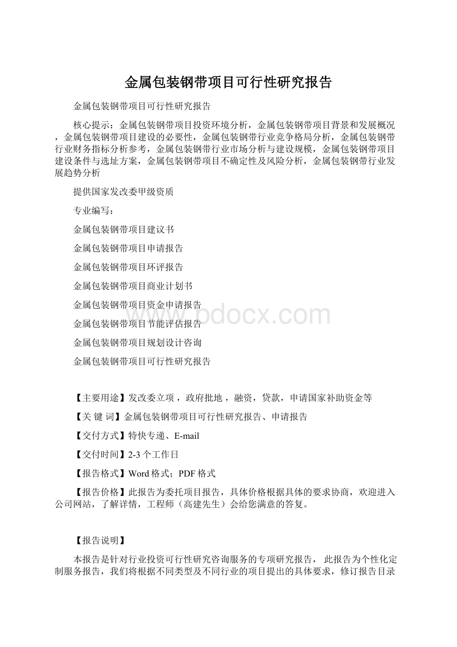 金属包装钢带项目可行性研究报告.docx