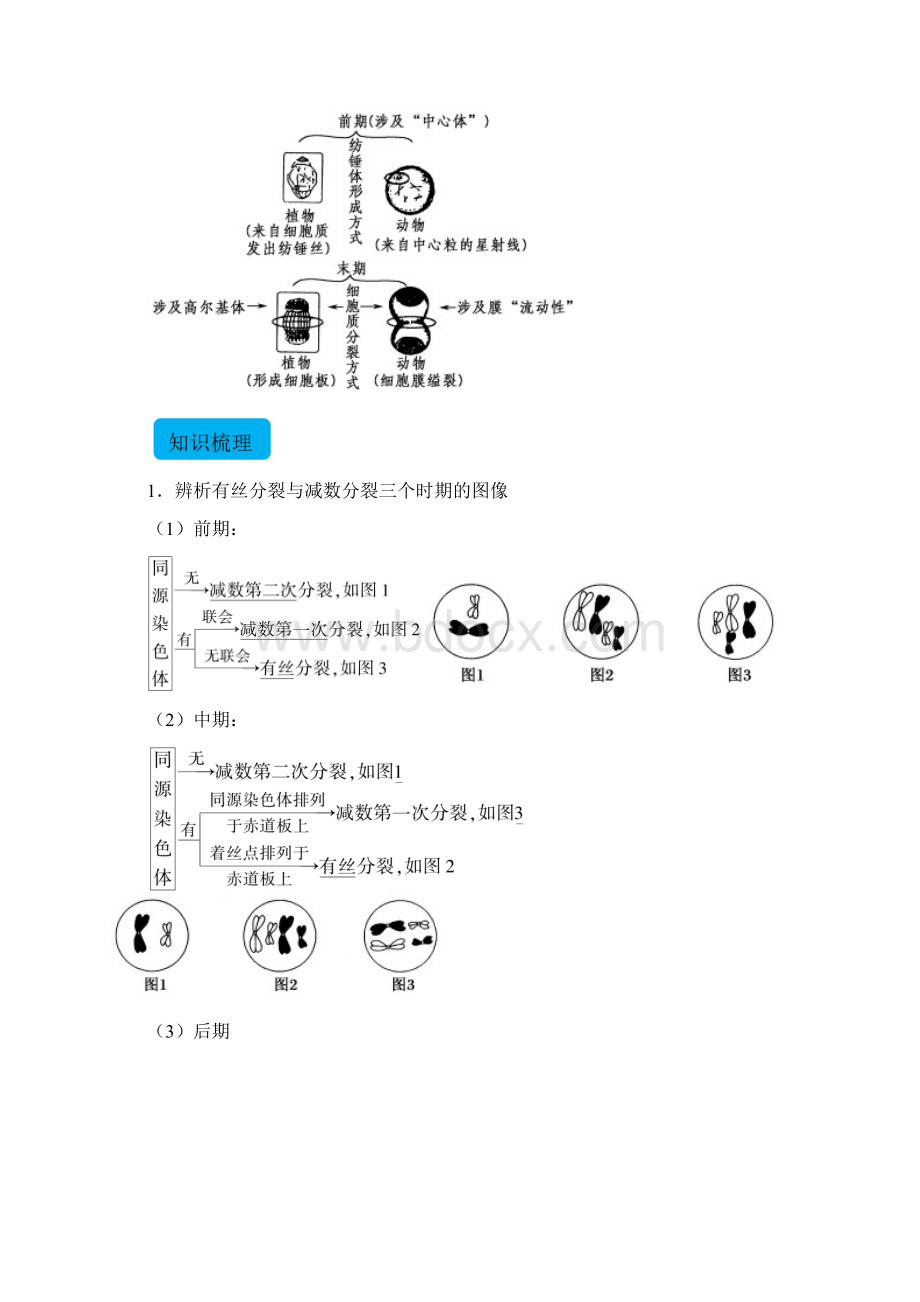 上海等级考生物细胞的生命过程教师版Word格式文档下载.docx_第3页