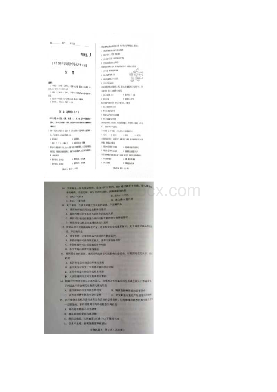 山西省普通高中学业水平考试生物试题图片版Word文档下载推荐.docx_第2页