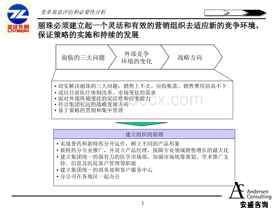 安盛丽珠企业战略报告优质PPT.ppt_第1页