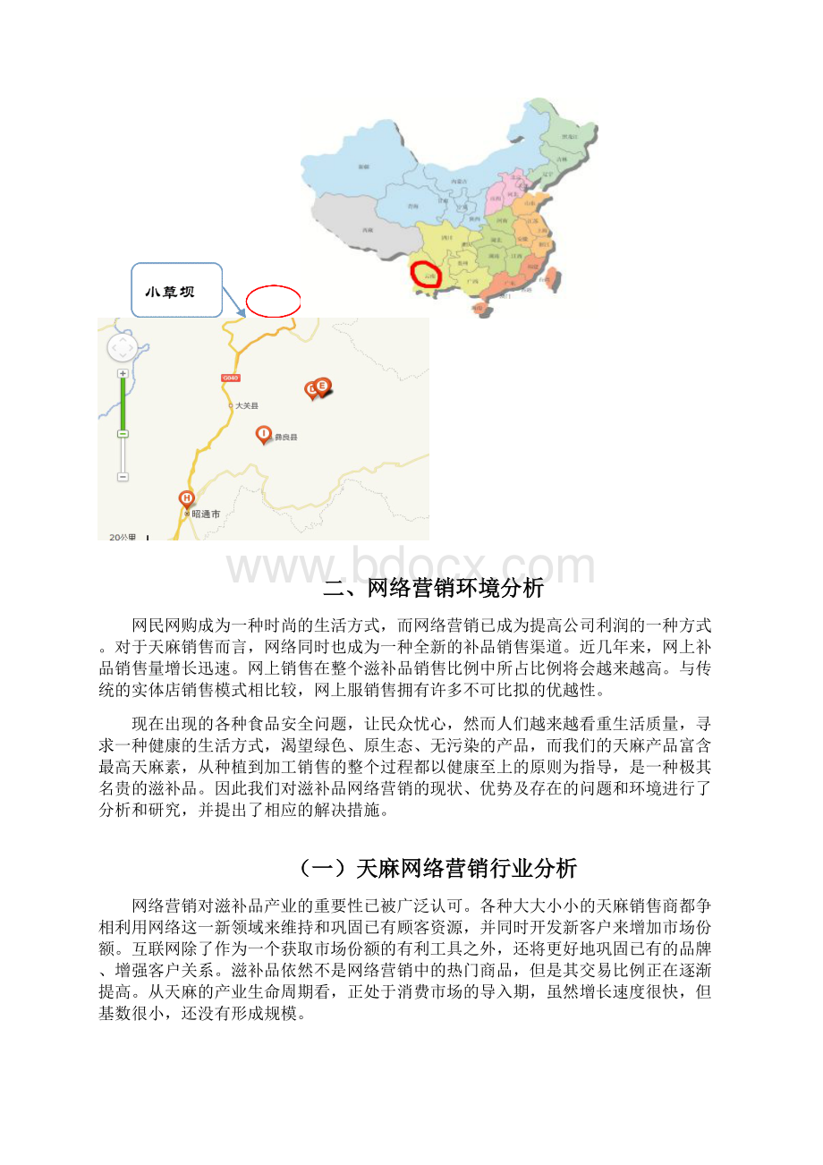 名贵中药天麻网络营销规划商业策划书.docx_第3页