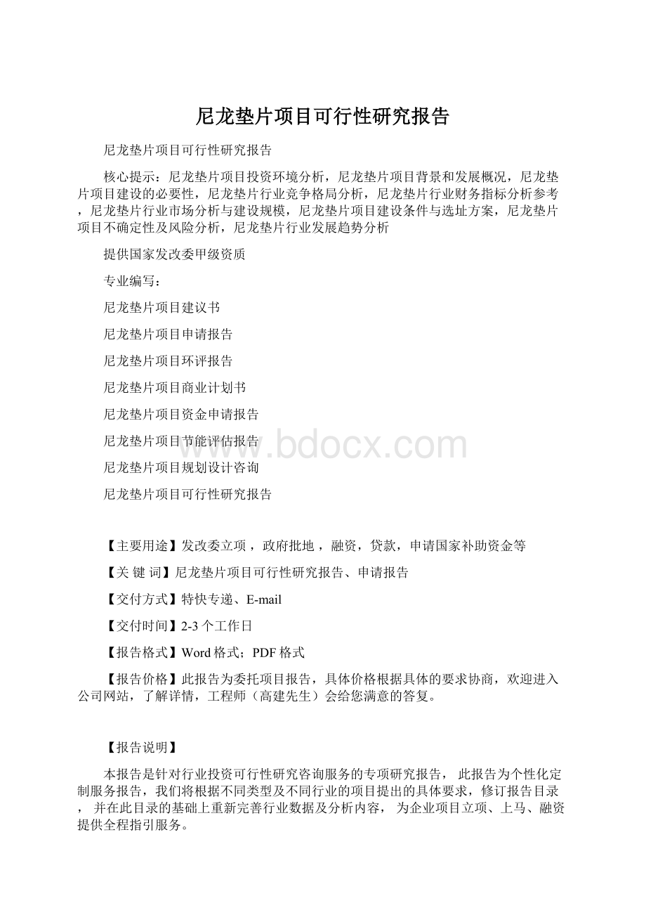 尼龙垫片项目可行性研究报告Word文档格式.docx_第1页