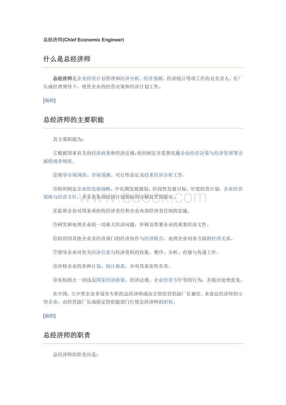 总经济师职责Word格式.docx