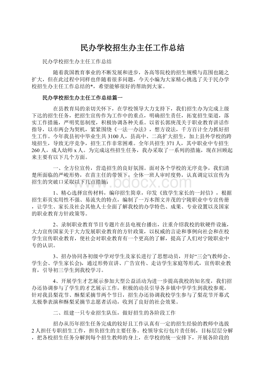 民办学校招生办主任工作总结.docx_第1页