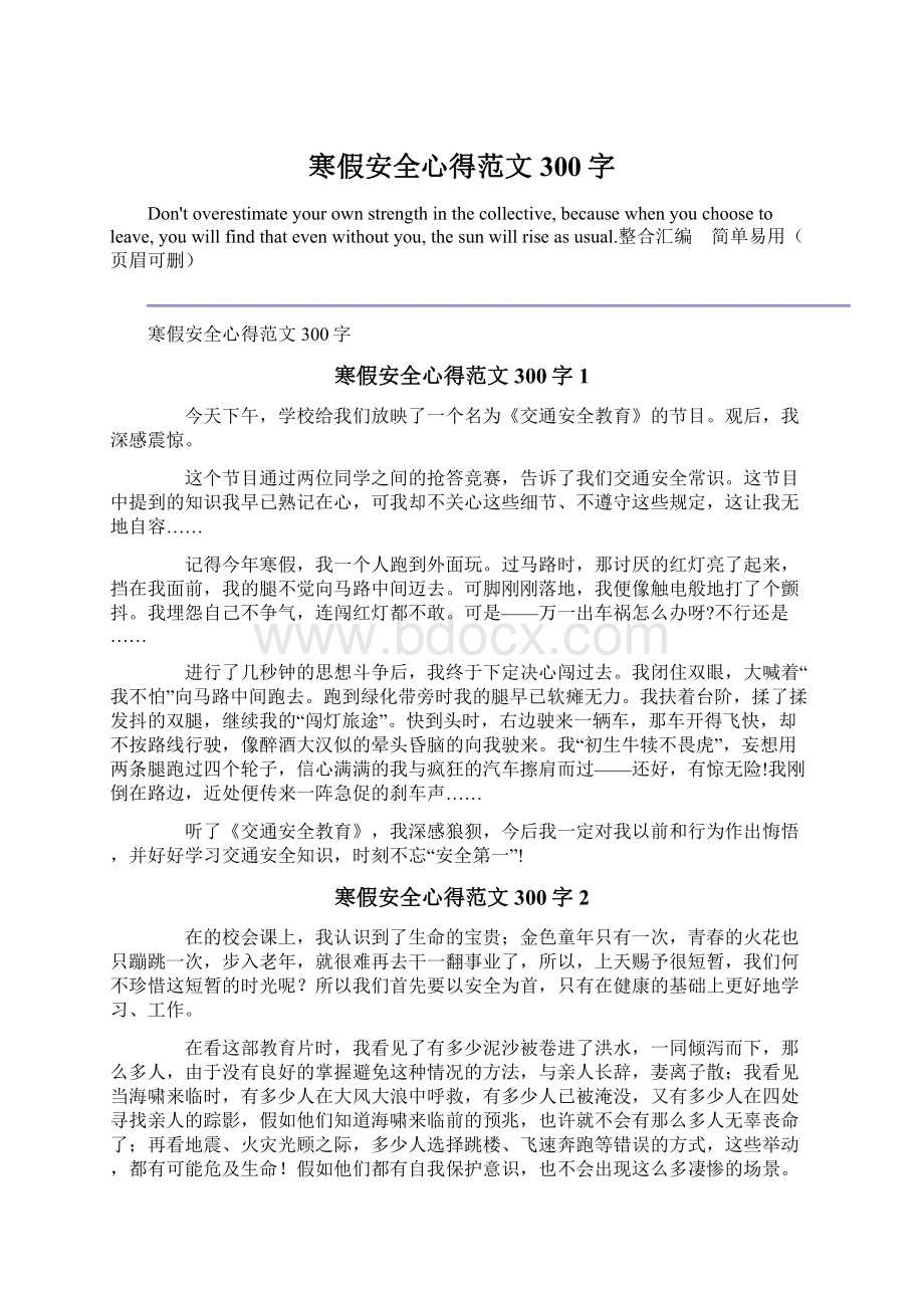 寒假安全心得范文300字文档格式.docx