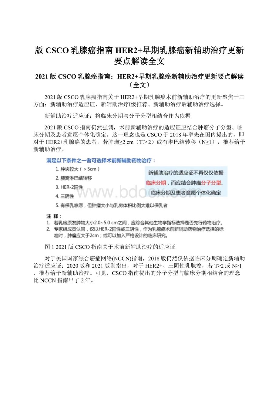 版CSCO乳腺癌指南HER2+早期乳腺癌新辅助治疗更新要点解读全文Word文件下载.docx